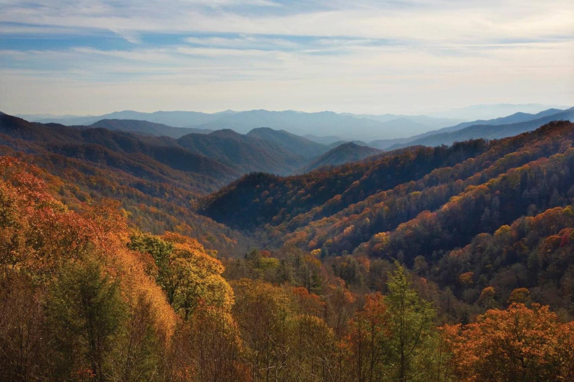 Resort Club Wyndham Smoky Mountains 3*
